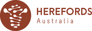 Herefords Australia